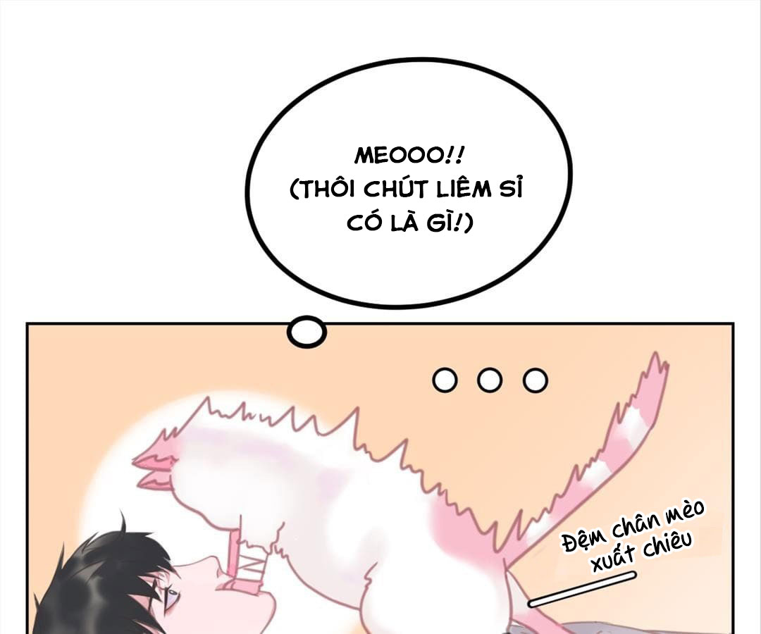 social cat chapter 1 44