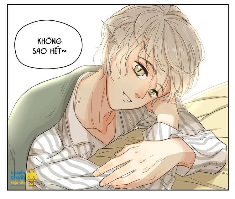 cứu mạng ! loài mèo thống trị thế giới rồi ! chapter 14 16