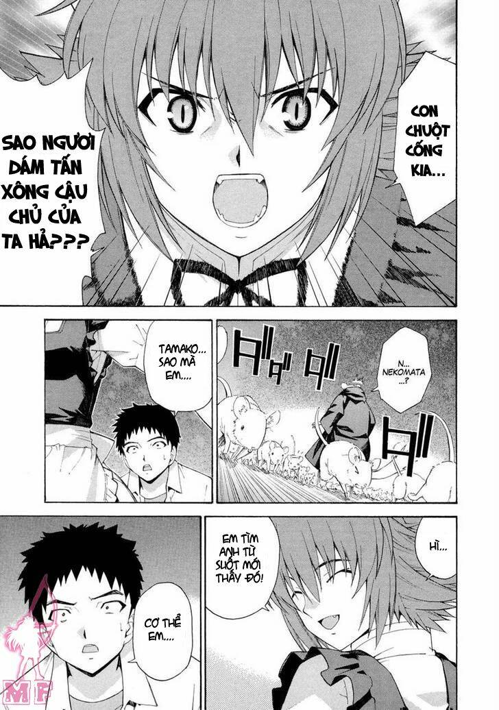 isuca chapter 11 11