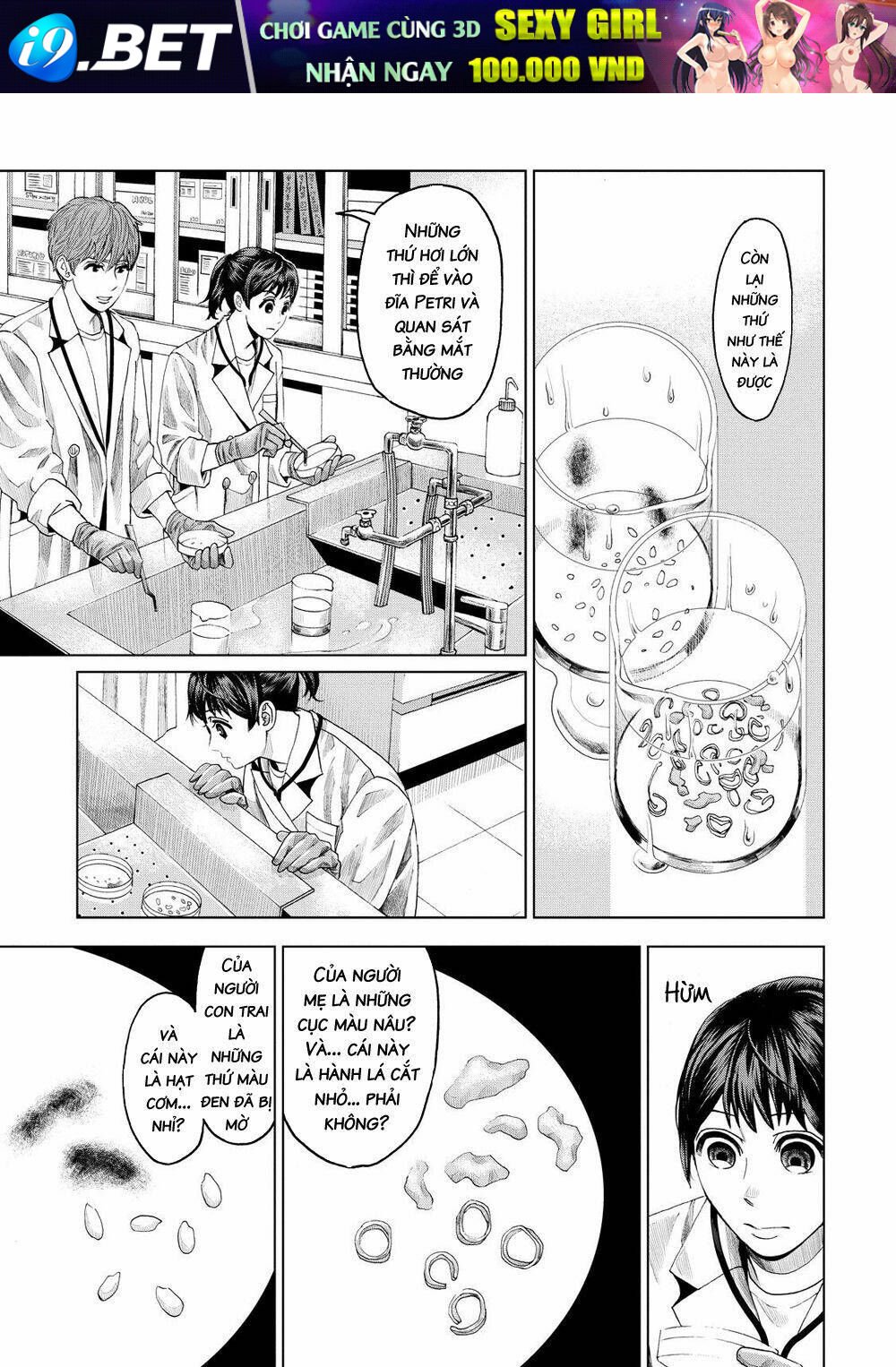 trace: kasouken houi kenkyuuin no tsuisou chapter 9 15