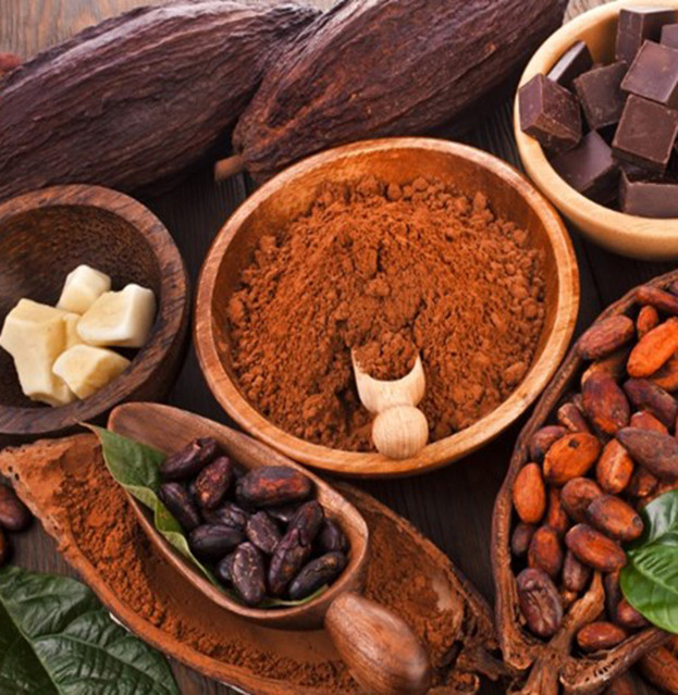 Bột cacao Lacacao Premium 250g