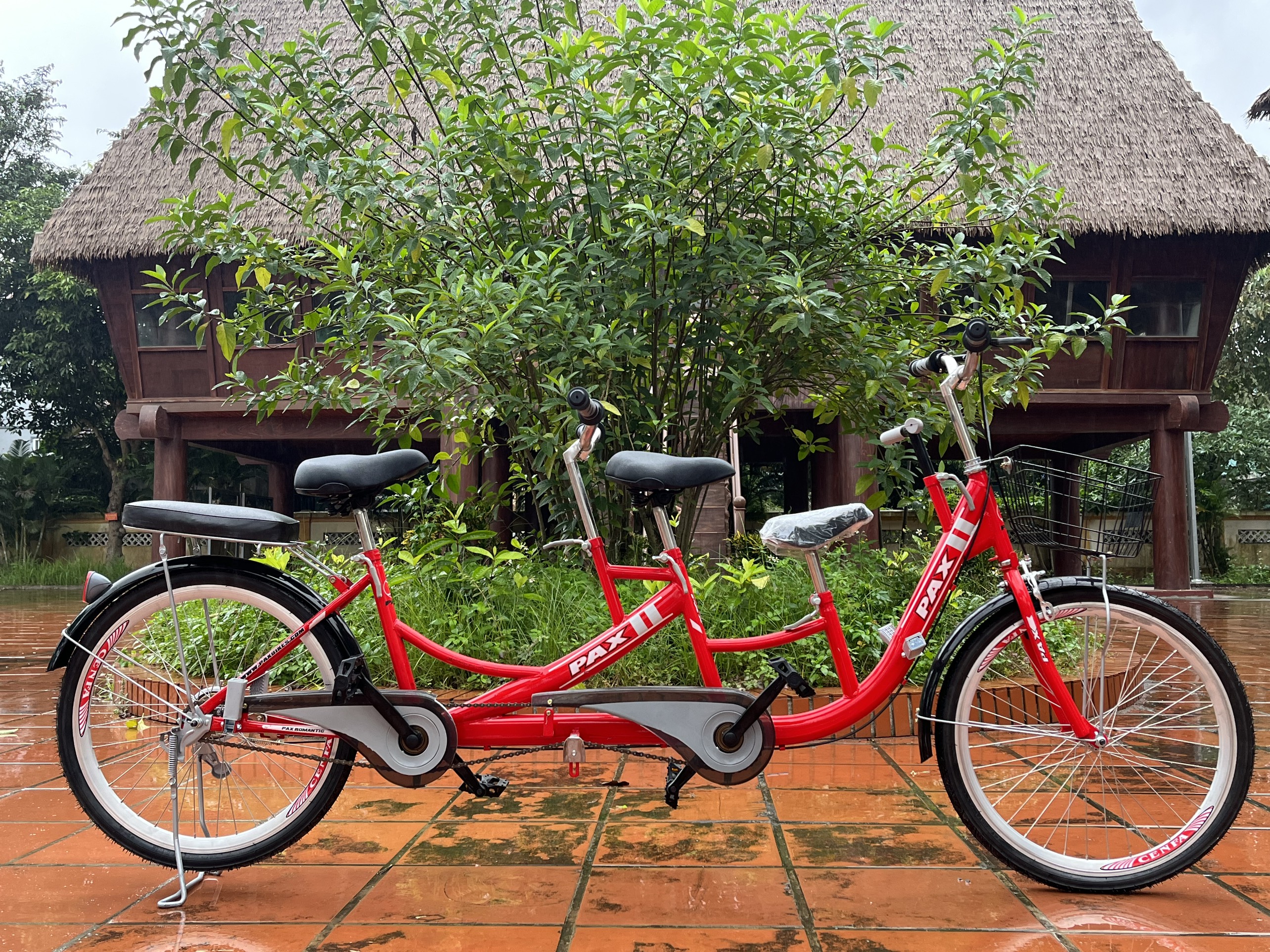Xe đạp đôi gia đình cao cấp PAX 2 Sport - Kiểu dáng thể thao - Hai người đạp tự do - Trọng tải 300kg - Có thêm ghế cho bé