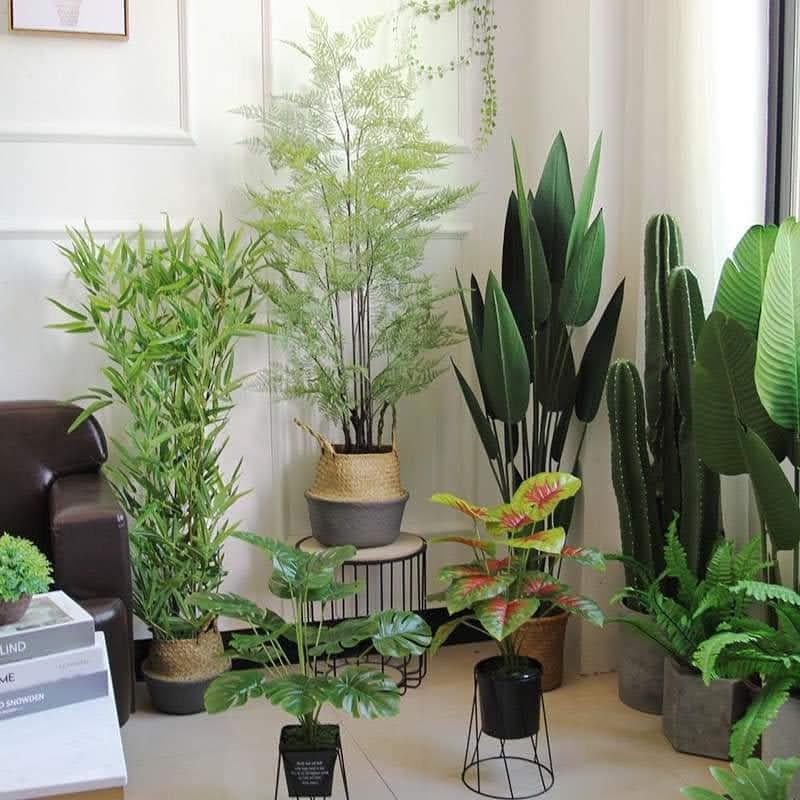 Cây Chuối lá ép nhập khẩu trang trí nhiều kích thước-Cây giả