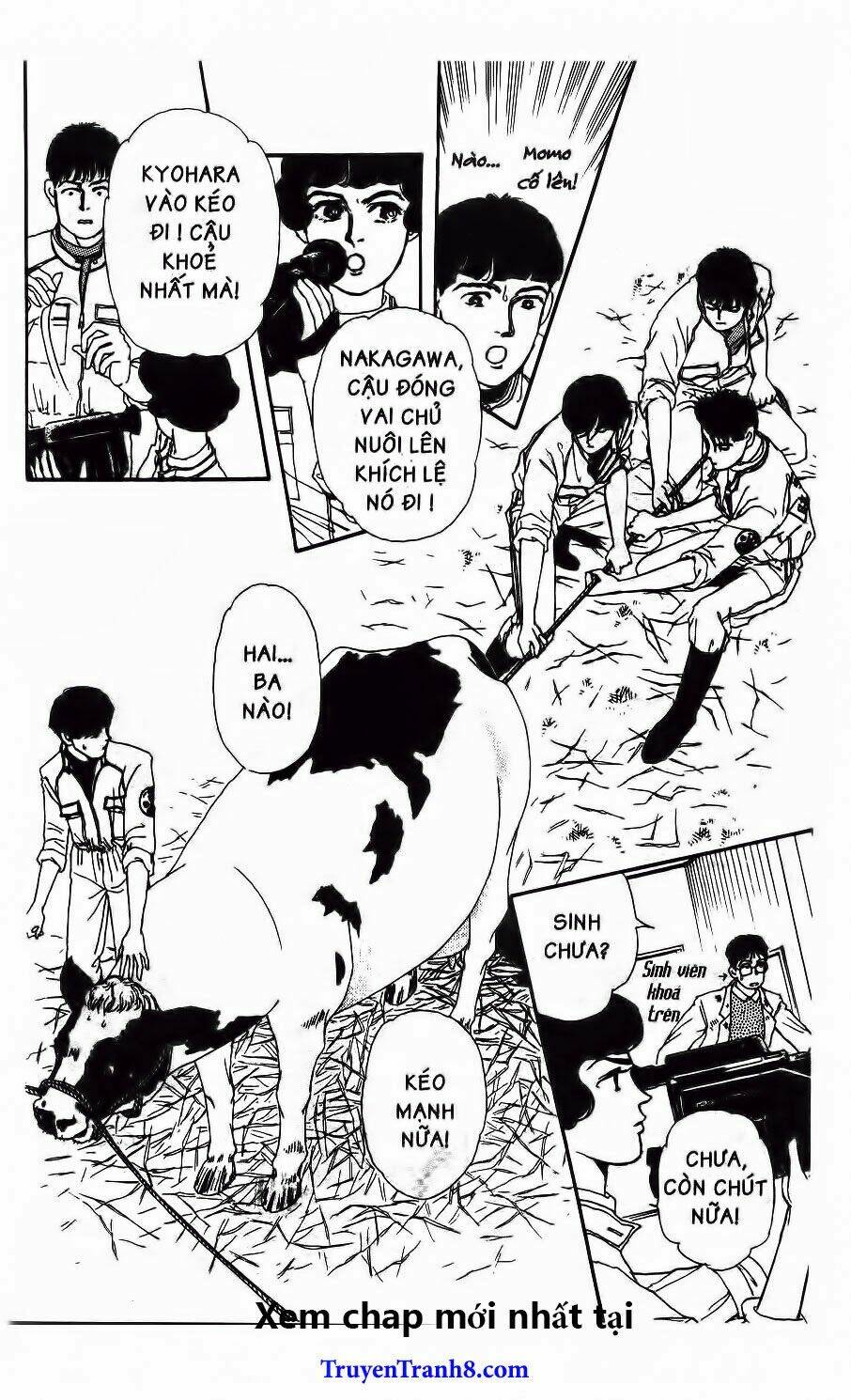 doubutsu no oishasan chapter 46 17