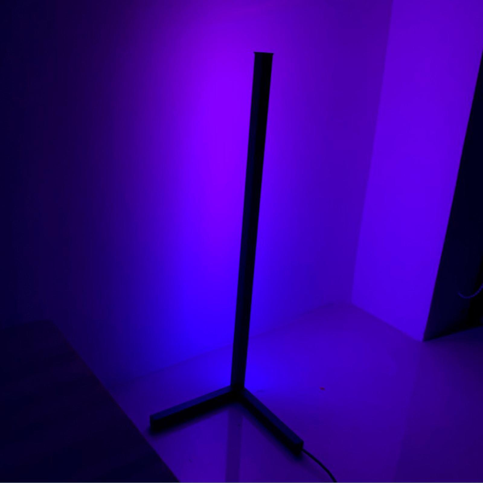 Color Changing RGB Mood Lighting Metal LED Wall Corner Floorlamp