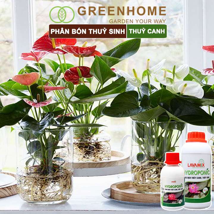 Dung dịch thủy canh Lavamix, chuyên trồng hoa sen, cây trong nước, an toàn cho cá |Greenhome