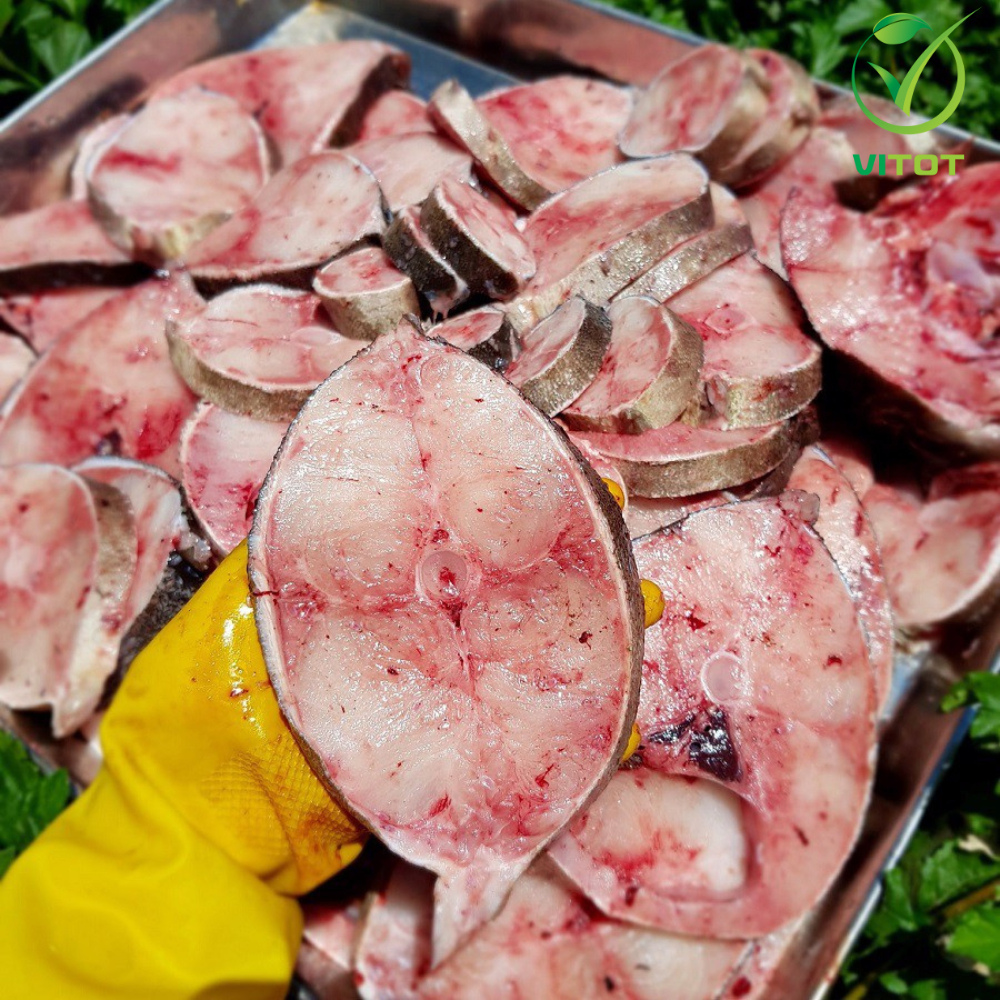 - CÁ BỚP TƯƠI CẮT KHÚc VITOT FOOD TRỌNG LƯỢNG 500GR