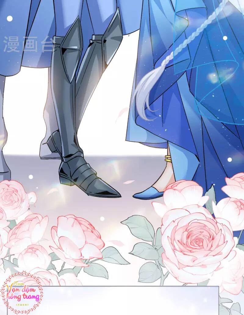 cô ấy đến rồi, xin nằm xuống! chapter 248 5