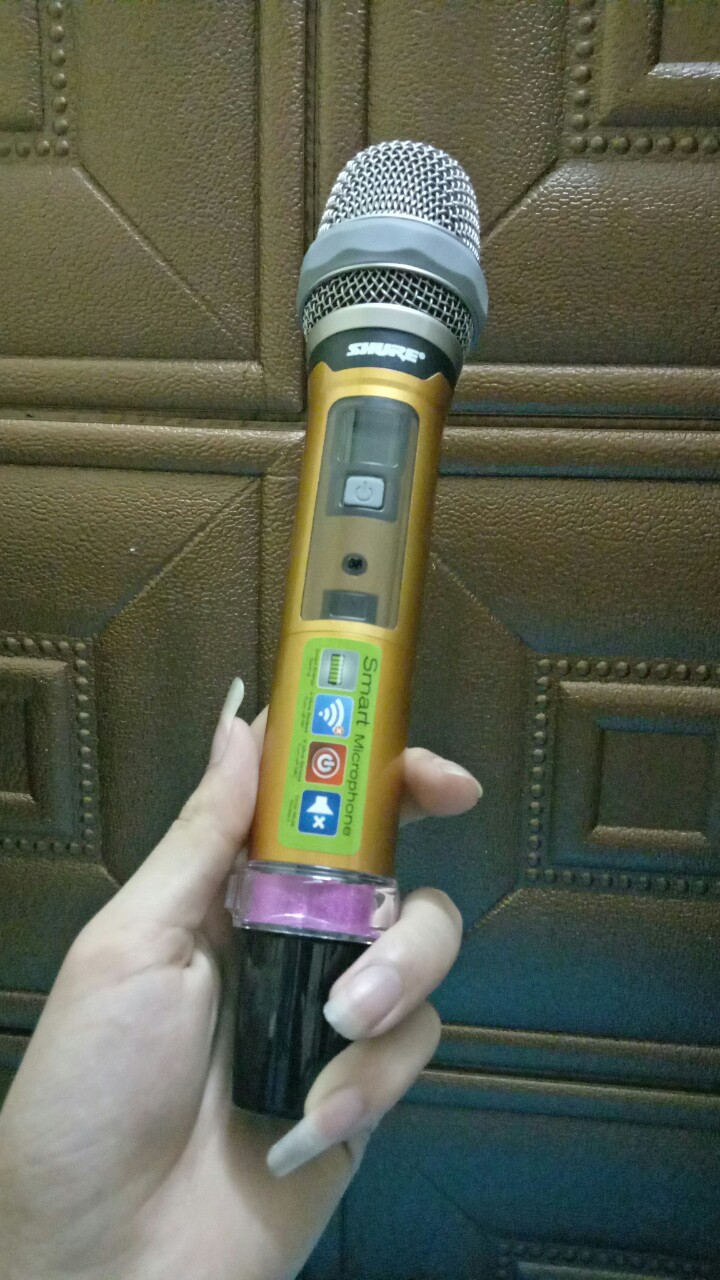Tay micro karaoke không dây UGX10II hàng chính hãng