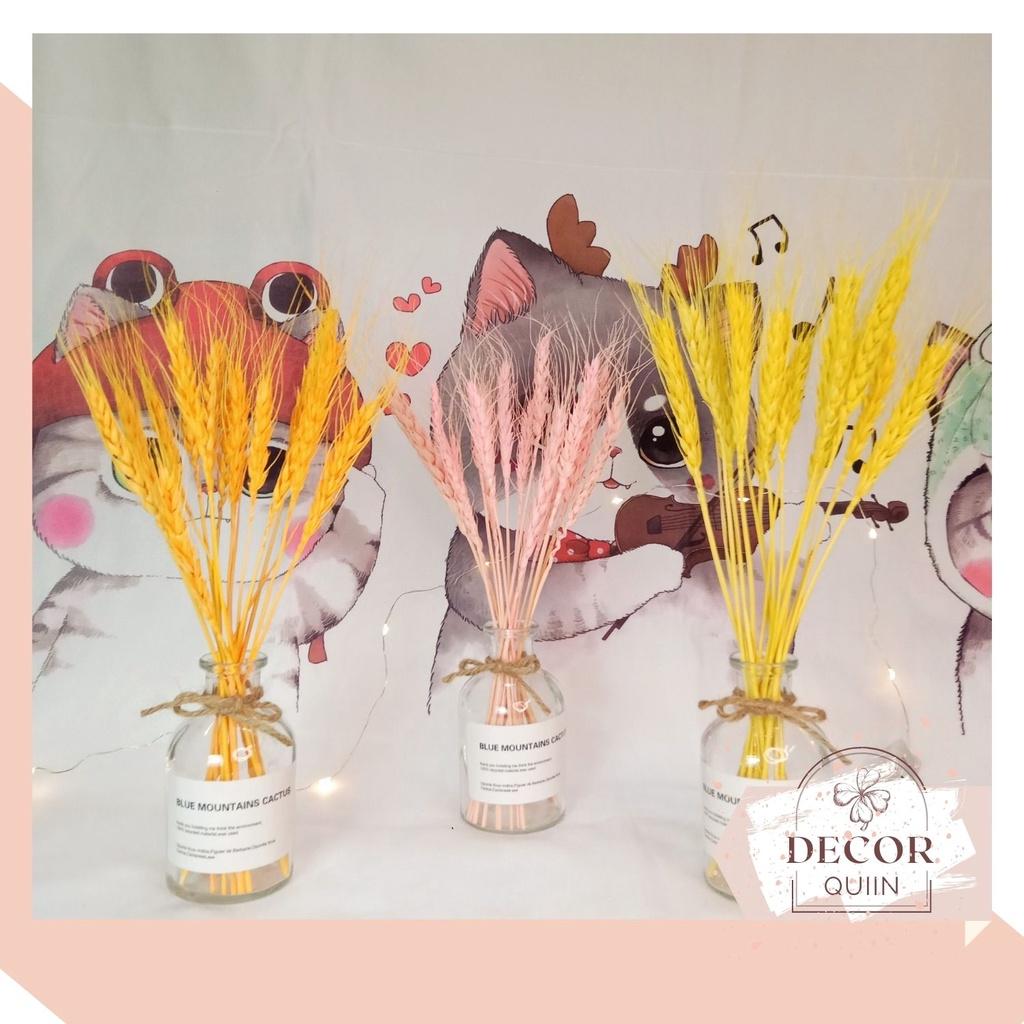 Lọ hoa để bàn️lúa mạch khô15 bông hoa khô trang trí quán cafe decor decor phòng quán trà sữa trang trí shop thời trang