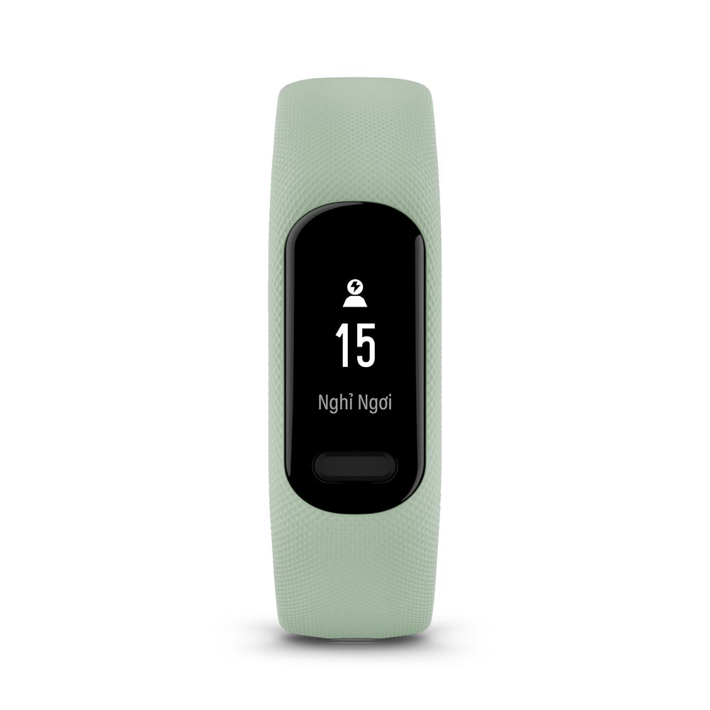 Đồng Hồ Thông Minh Garmin vívosmart 5 (Black/White/Mint) - Hàng Chính Hãng