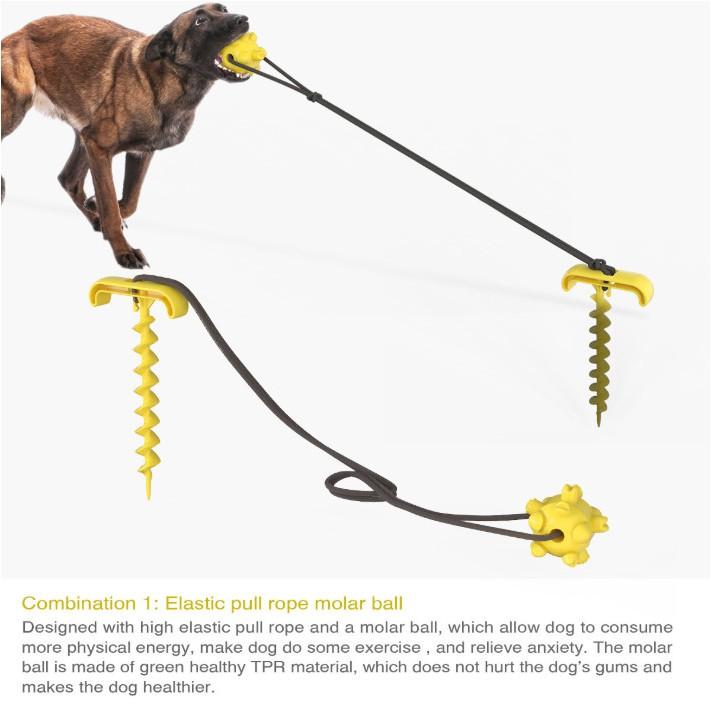 - Luyện Răng Thú Cưng Khoẻ và Sạch Pin Dog Leash
