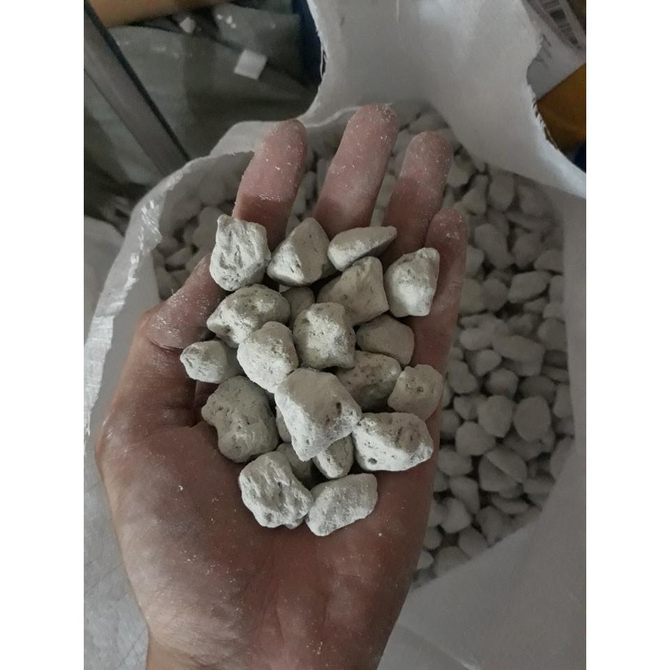 Nham Thạch Trắng Turkey đá lông vũ lọc nước hồ cá thủy sinh cá cảnh - Vật liệu lọc đá bọt cho bể cá cảnh