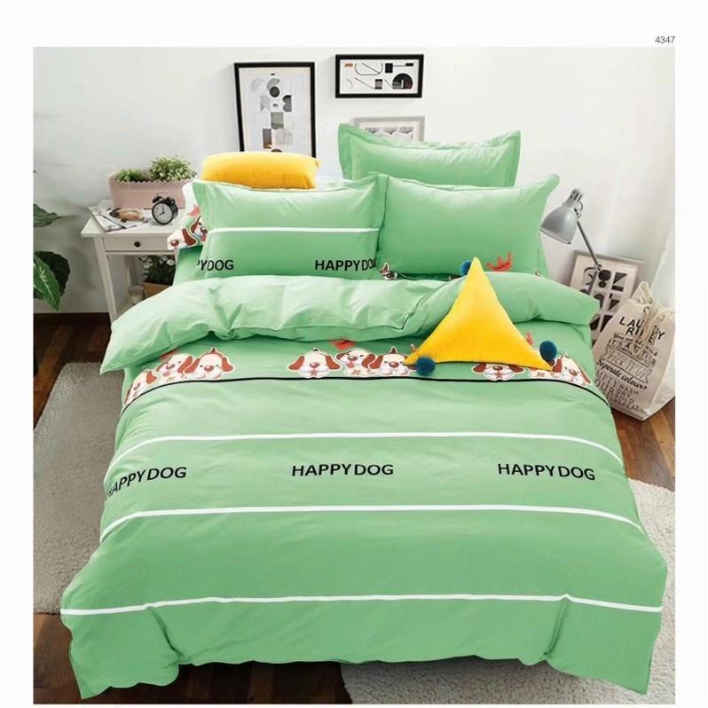Bộ chăn drap gối Cotton 100% 4 món