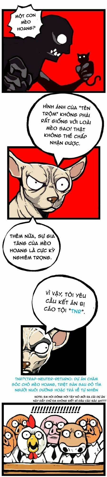 earth, human, and animal chapter 22 22