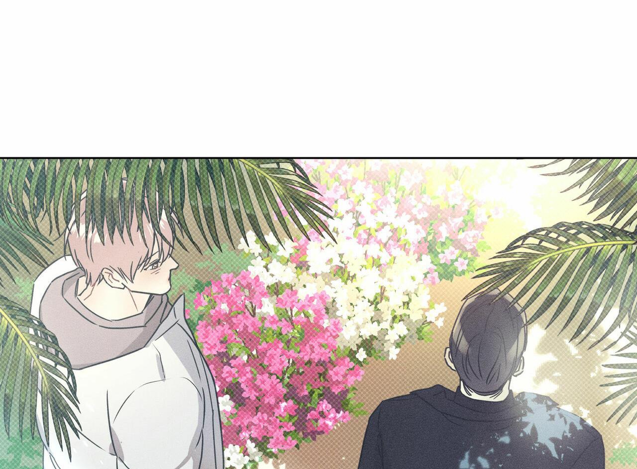 dải hợp âm trên đại dương xanh chapter 29 101