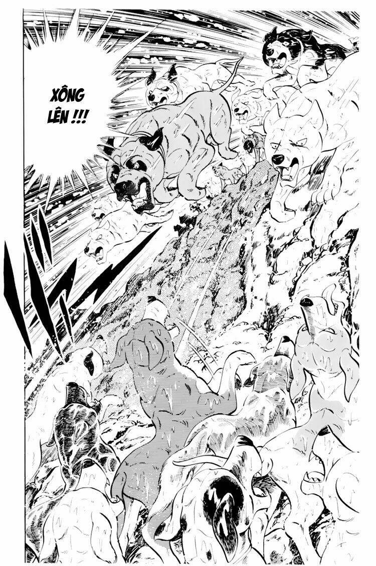 chú chó có nghĩa - ginga nagareboshi gin chapter 33.1 7