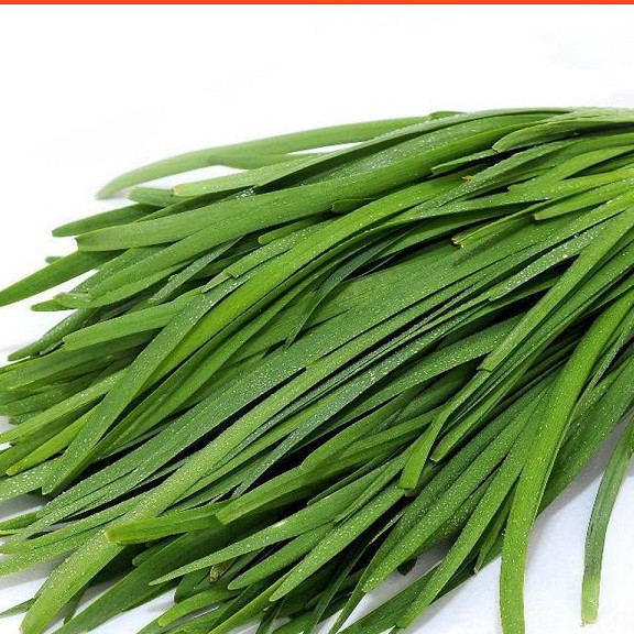 Hạt giống Rau Hẹ Ta - Nông Sản Vàng