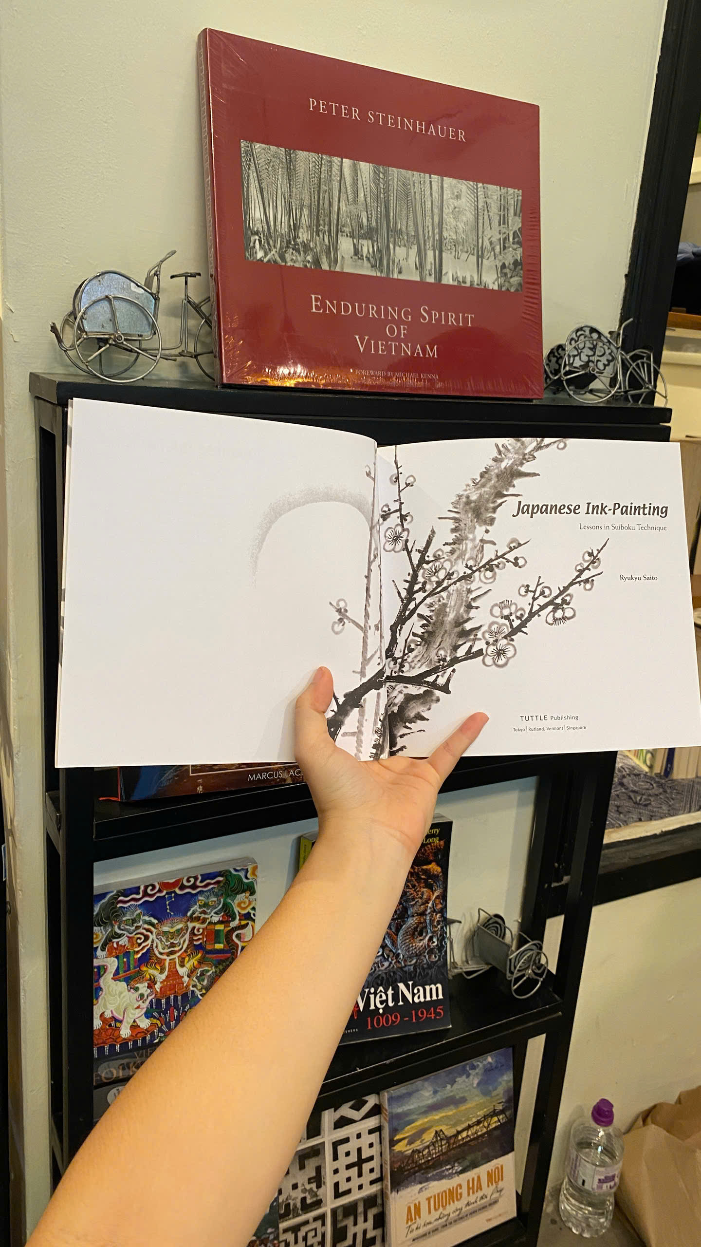 Sách - Japanese Ink Painting: Lessons in Suiboku Technique | Art & Design / Nghệ thuật Vẽ Nhật Bản