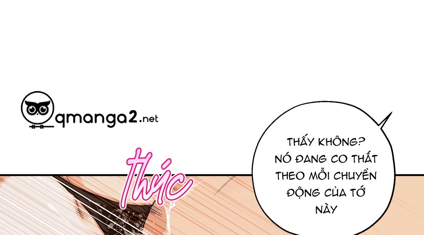 gâu gâu! chapter 55 60