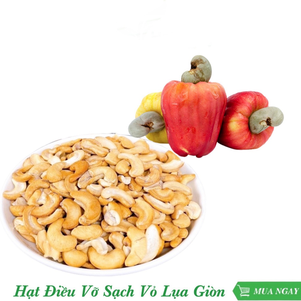 Hạt điều sấy nguyên vị (không muối) 500g, thơm ngon, chắc hạt, nguyên chất 100%