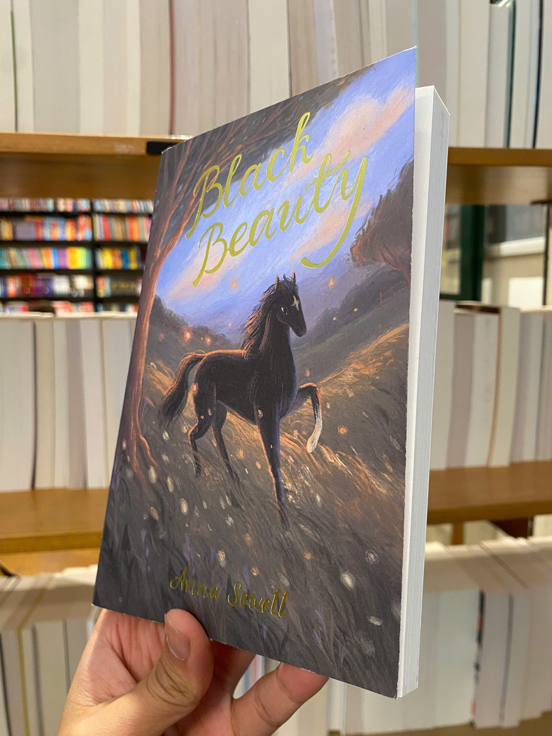 Sách - Black Beauty by Anna Sewell | Children Classic Novel / Ngoại văn Kinh điển Nhập khẩu