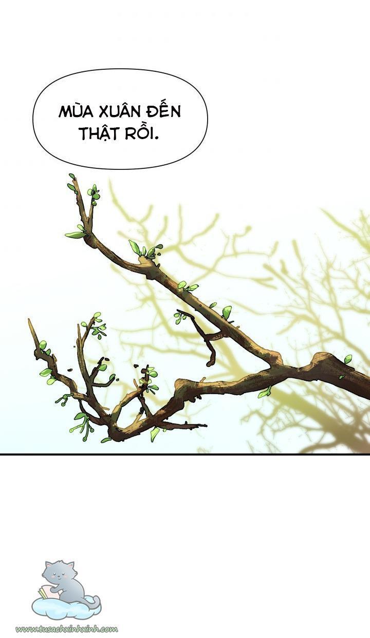 công nương khế ước của gia tộc công tước quái vật chapter 60 66