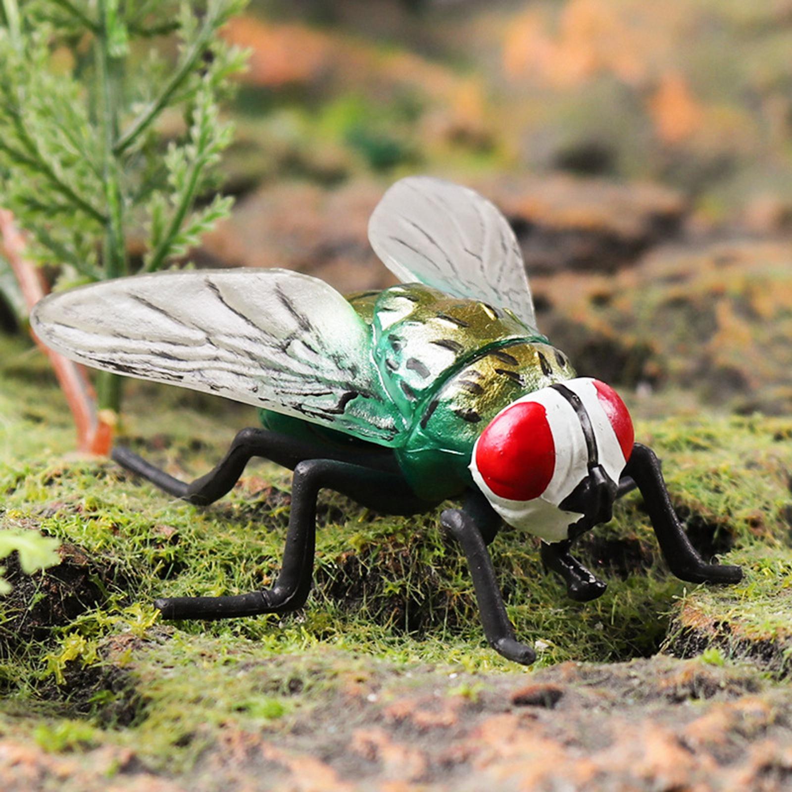 Realistic Fly Toys Educational Learning Toy Party Supplies for Boy Toddlers