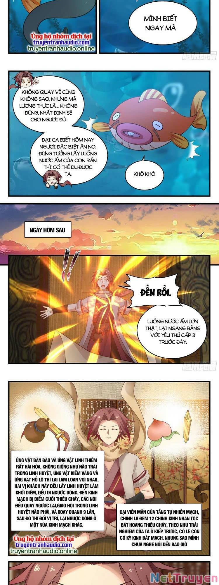 thần sủng lại cho ta bật hack chapter 65 2