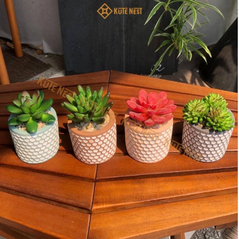 Bộ 4 chậu sen đá trang trí, chậu sen đá mini nhân tạo họa tiết tổ ong dễ thương, trang trí decor quá cafe, bàn làm việc, văn phòng, phòng khách, KT ngang 6cm x cao 8 - 10cm - Kute Nest