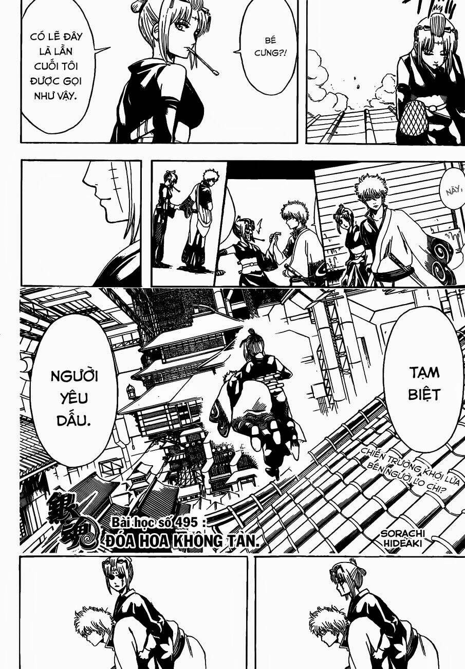 gintama - linh hồn bạc chapter 495 5