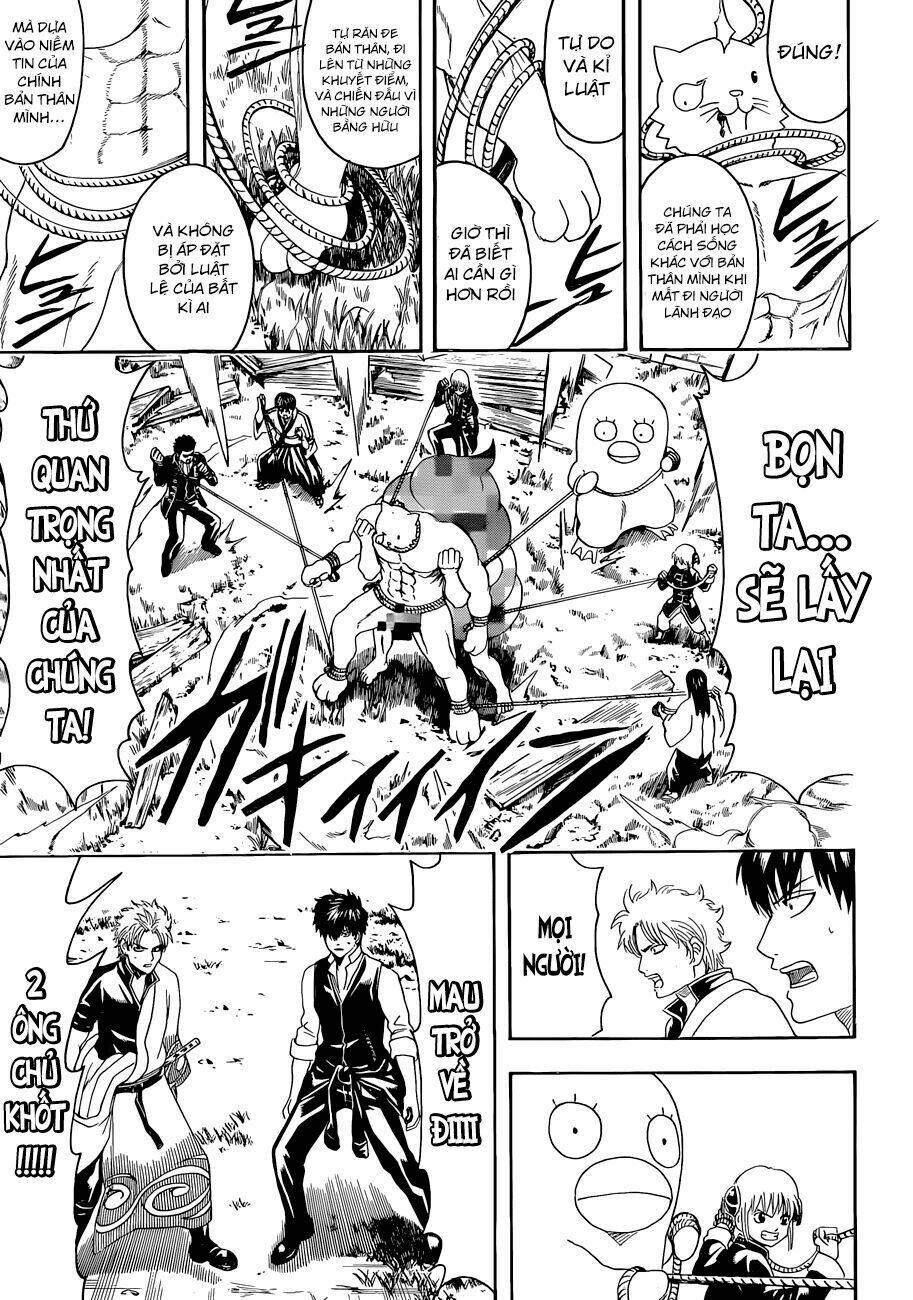 gintama - linh hồn bạc chapter 476 10