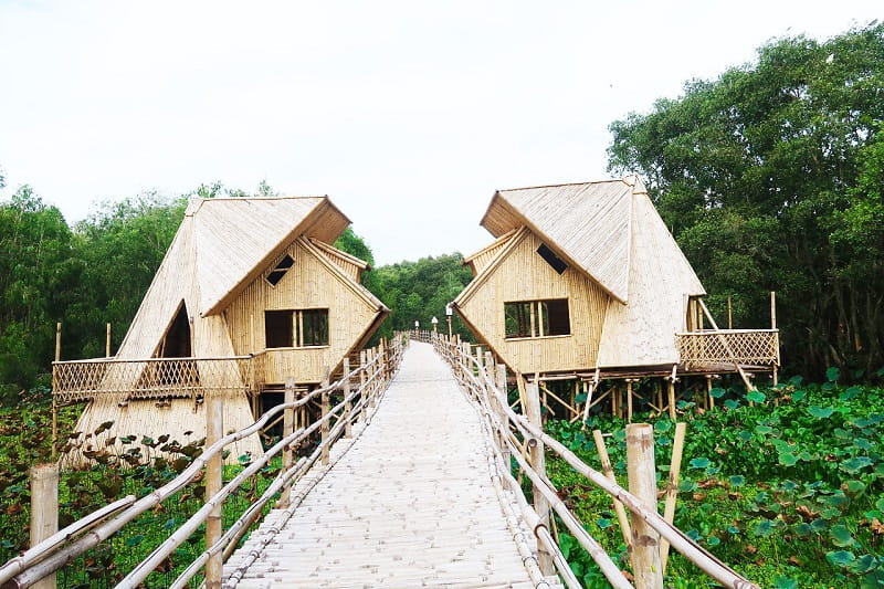 Tour rừng tràm Trà Sư 1 ngày – Viếng Miếu Bà Chúa Xứ Châu Đốc