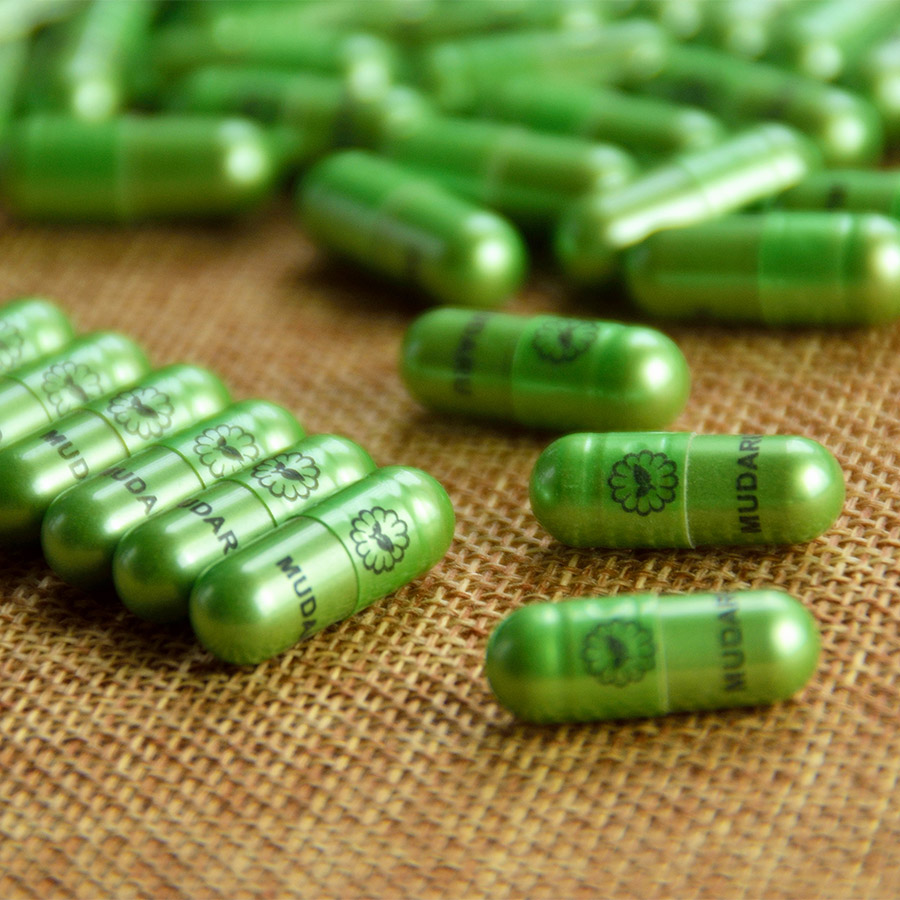 Thực Phẩm Chức Năng Viên Uống Khổ Qua Rừng Mudaru - Hộp Viên Nang