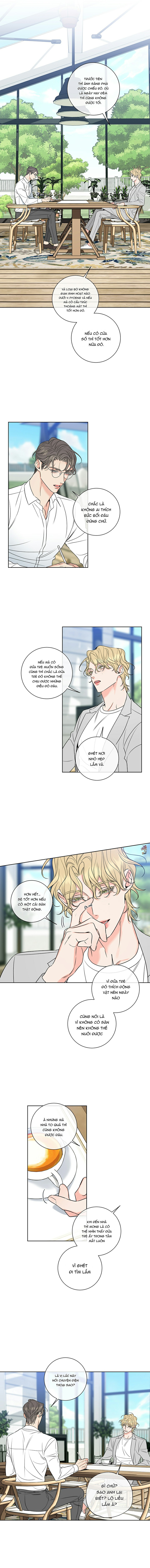 rắc rối mật ngọt chapter 13 6