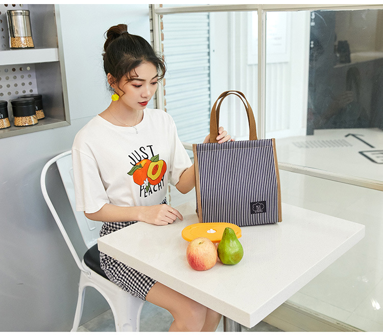 Túi Đựng Hộp Cơm Giữ Nhiệt Size Lớn, Kiểu Dáng Thời Trang Hiện Đại Ver.5 - Hàng Chính Hãng Besti