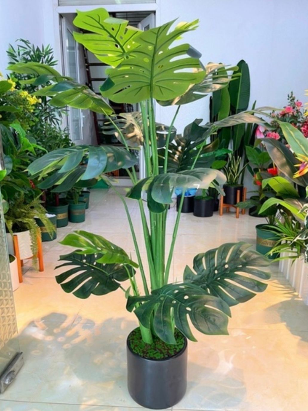 Cây giả – Cây trầu bà lá xẻ nam mỹ monstera giả – Chậu gồm 3 nhánh 18 lá – Cao 130 cm – Cây lá rùa, lá rách – Cây nội thất giả, hoa lụa trang trí decor