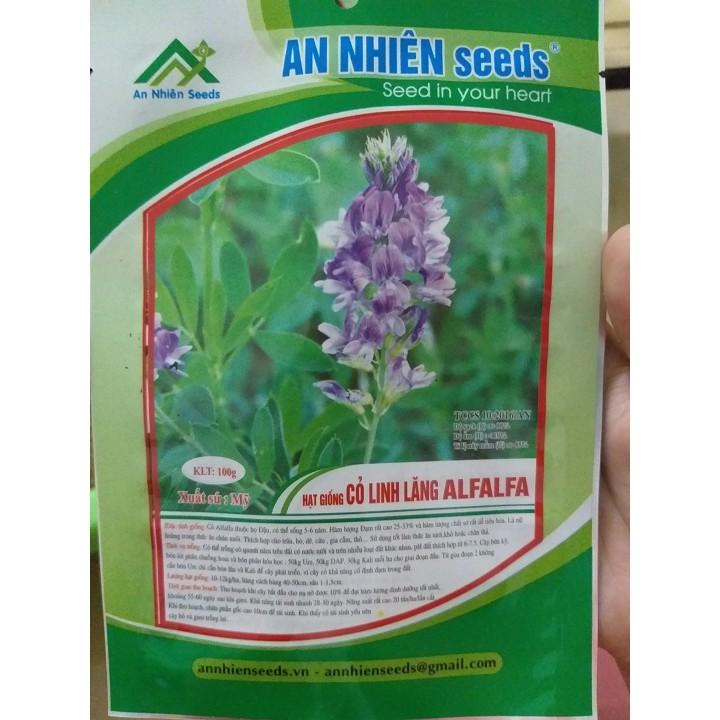 Hạt giống cỏ chăn nuôi ALFALFA 100g
