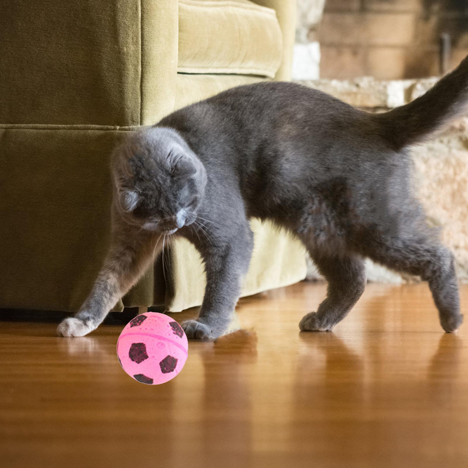 Training Durable Interactive Ball Toy for Indoor Cats Kitten Chase