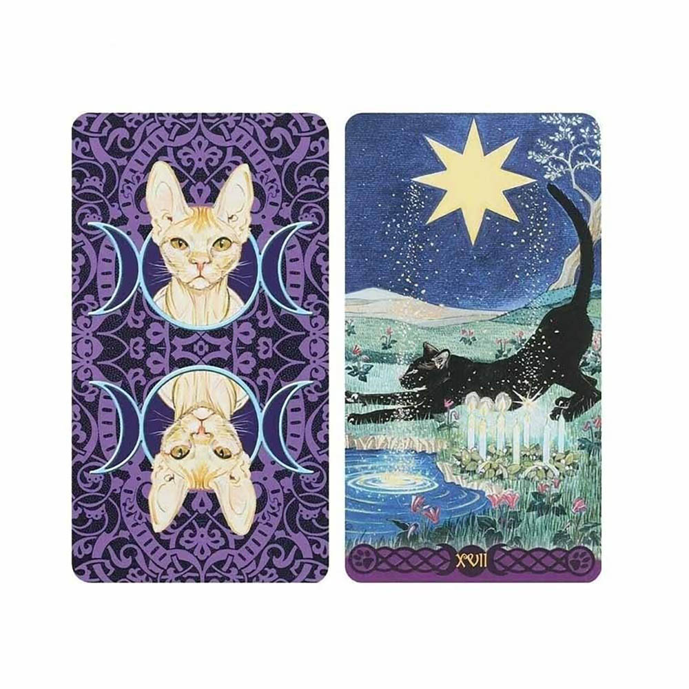 Bài Tarot Of Pagan Cats 78 Lá Bài Bỏ Túi Tặng File Tiếng Anh Và Đá Thanh Tẩy