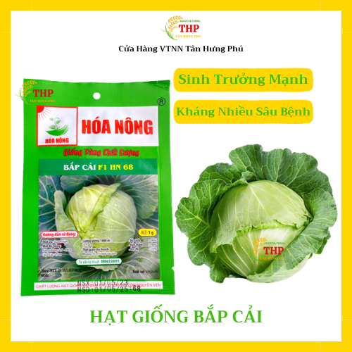 Hạt Giống Bắp Cải F1 HN68 | Hạt Giống | Gói 1Gram