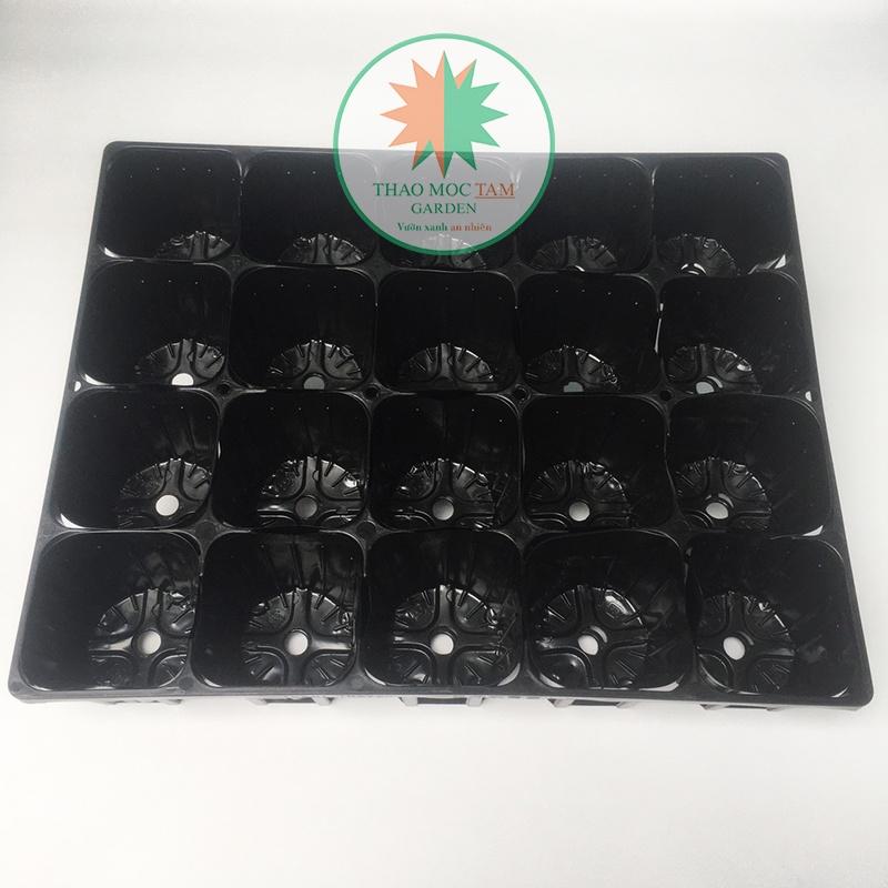 Bộ Khay 20 lỗ + 20 Chậu ươm 10.5 chuẩn Nhật - Khay ươm cây con, cây giống, trồng hoa làm vườn