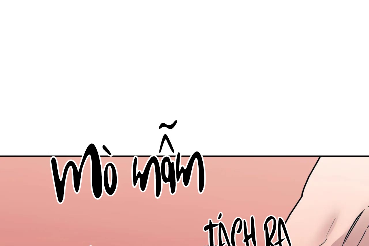 ám ảnh pheromone chapter 60 71