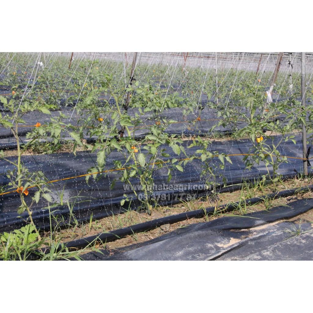 Dây tưới phun mưa 5 lỗ chéo phi 34mm