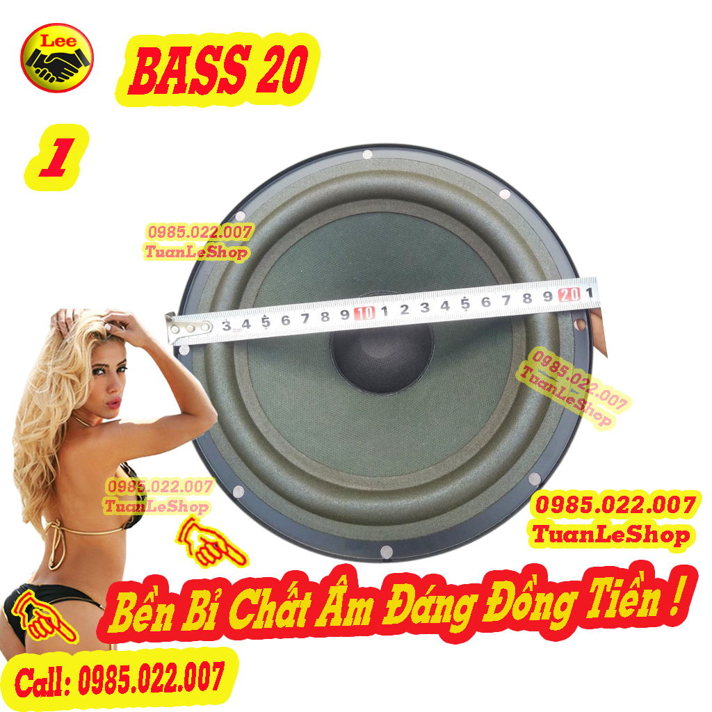 01 LOA BASS 20 MẪU 301 SERI 3 – GIÁ 01 BASS 2 TẤC  SERI III