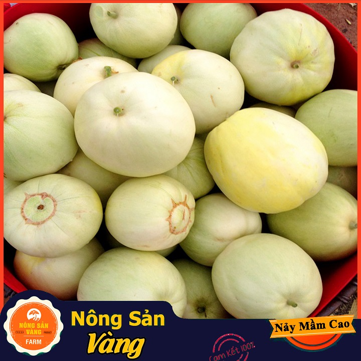 Hạt giống Dưa Lê Siêu Ngọt - Nông Sản Vàng