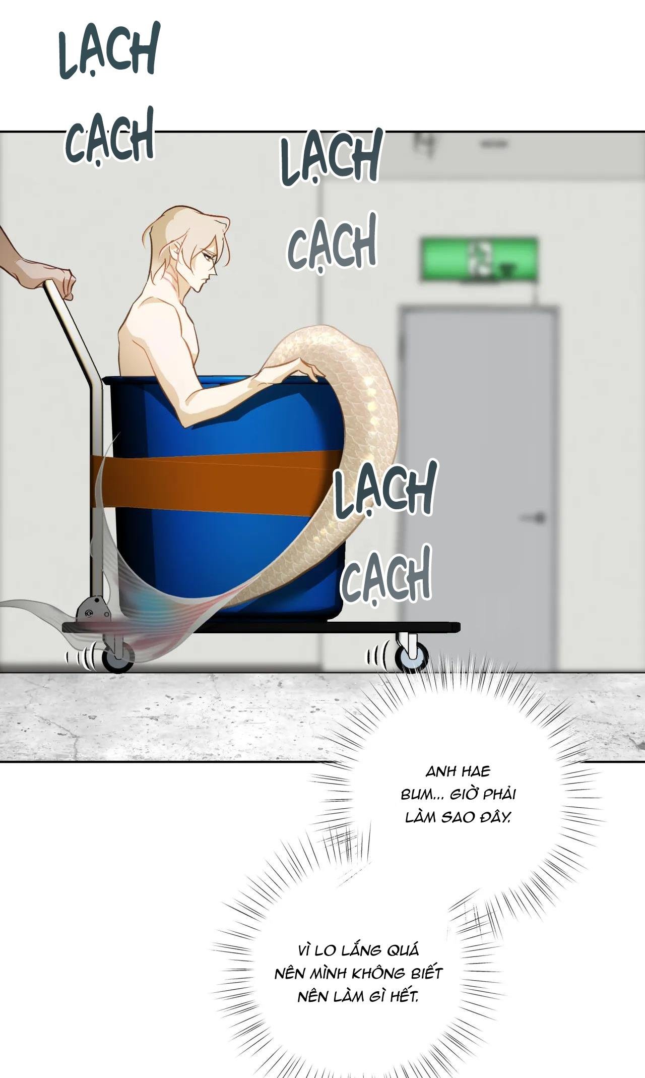 mỹ nhân ngư chapter 7 66