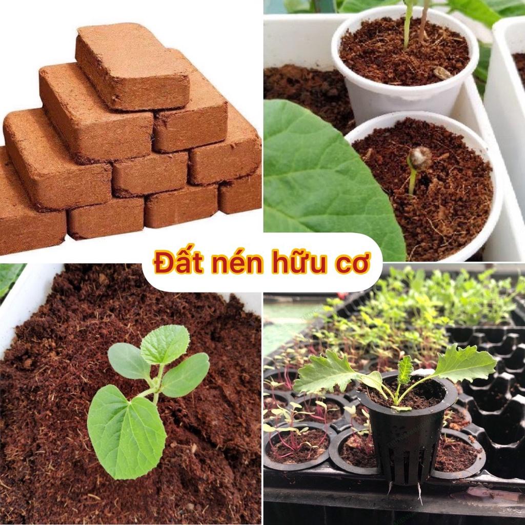 Đất nén sơ dừa hữu cơ dạng viên nhiều dinh dưỡng diệt trùng diệt khuẩn kháng bệnh tốt cho cây trồng - rau củ - cây cảnh