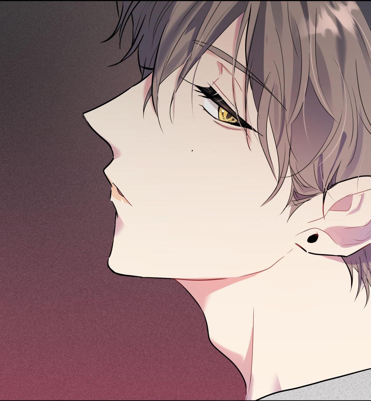 vị khách từ căn nhà phía sau chapter 2 57