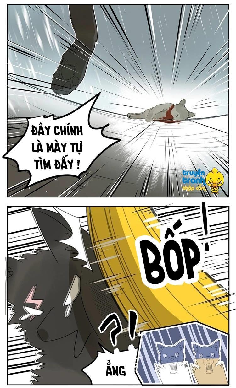cứu mạng ! loài mèo thống trị thế giới rồi ! chapter 25 20